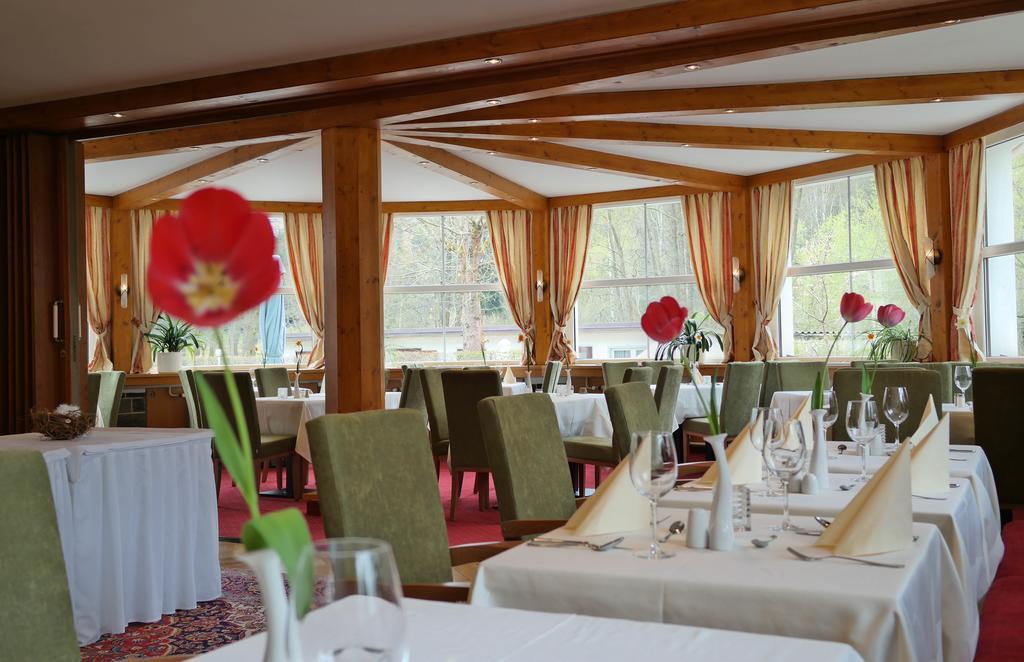 Hotel Vogtland Bad Elster Ngoại thất bức ảnh